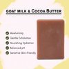 SVATV Handcrafted Soap With Natural, Soothing Herbs Of GOAT MILK & COCOA BUTTER For Men And Women - Exfoliating Bar, Traditional Ayurvedic Herbal Soap For All Skin Type - 125g X 2 = 250g