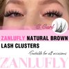 Lash Clusters Wispy Eyelash Clusters Natural C Curl DIY Lash Extension zanlufly 180Pcs Thin Band Individual Lashes Eyelash Extensions (8-16MM)