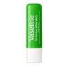 Vaseline Lip Therapy Stick with Petroleum Jelly (Aloe Vera, Pack of 2)