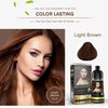 Herbishh Hair Color Shampoo for Gray Hair – Magic Colors Hair in Minutes–Long Lasting–500 Ml–3-In-1 Hair Color–Ammonia-Free | (Light Brown)