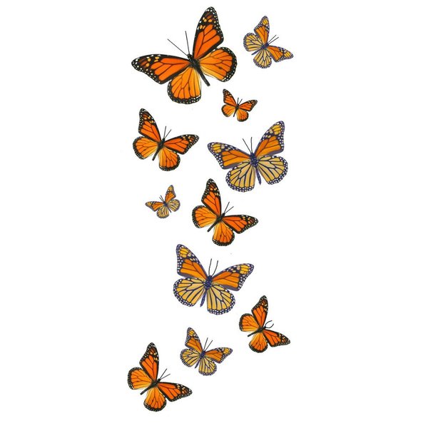 55 Monarch Butterfly Temporary Tattoos