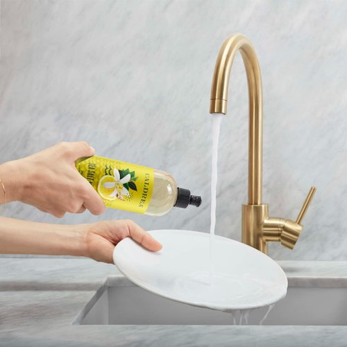 Caldrea Dish Soap, Biodegradable Dishwashing Liquid made with Soap Bark and Aloe Vera, Sea Salt Neroli, 16 oz