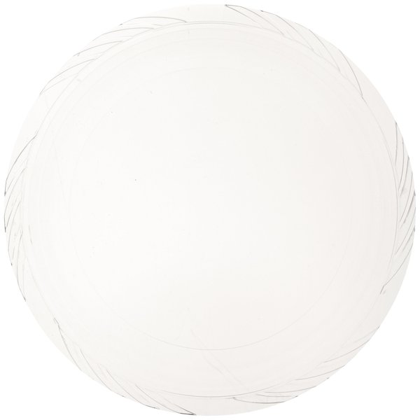 Clear Plastic Dinner Collection Dinner Plates (10") 40 Count - Perfectly Sized & Durable, Perfect for Parties & Special Events