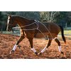 Leaders Training or Lungeing Aid for Horse (Black)