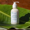 Sea-El Avocado & Kelp Cream Cleanser Non-Foaming Gentle Deep Cleanse to Purify Tone & Firm - Moisturizing Natural Face Wash for Women & Men - 4 Oz
