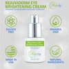 Rare Ivy Rejuviderm Eye Brightening Cream- Eye Cream for Dark Circles and Puffiness - Undereye Moisturizer Anti Aging Cream- Removes Wrinkles Fine Lines (0.5 FL OZ / 15 ML)