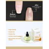 OrganiCAN Premium Nail & Cuticle Oil - Milk and Honey - Strengthens and Nourishes Nails & Cuticles - Protects Nails against Chipping and Breaking - Cruelty Free