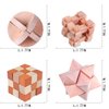 Brain Teaser Puzzle for Kids Adults Puzzle Games Wooden and Metal 3D Unlock Interlocking Puzzle Educational Toy 28Pcs