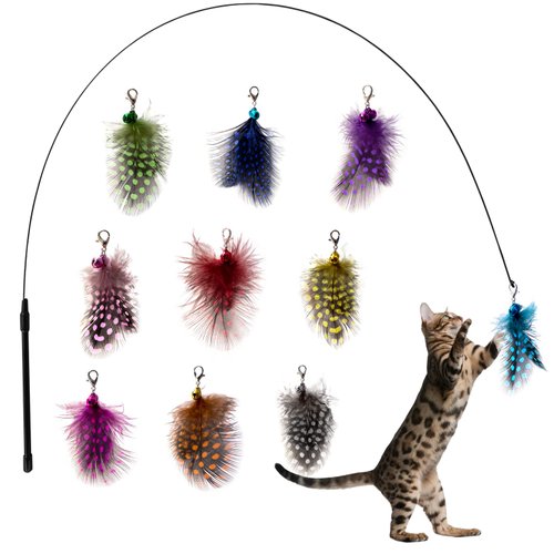 AcceLeah Cat Toys Wand, Cat Feather Toys nteractive Cat Toy Detachable 10PCS Feather Replacements 1 Wands Cat Spring Feather Toys for Indoor Cats Kitten Toys