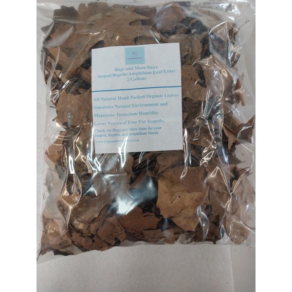 2 Gallon Bag of Organic Leaves - Isopods, Reptiles, Amphibians, Bioactive Aquariums, Terrariums, Vivarium