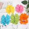 CÉLLOT 40Pcs 3.5 Inch Boutique Grosgrain Ribbon Pinwheel Hair Bows Alligator Clips For Girls Toddlers Accessories Teens Gifts In Pairs