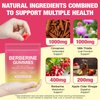 Berberine Comples Gummies with Ceylon Cinnamon, Milk Thistle, ACV, Sugar Free Berberine Supplement for Metabolism, Energy, Gut Health, Fasting Body Mass Control, Vegan, Gluten-Free Watermelon Flavor