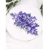Aimimier Bridal Sapphire Hair Comb Royal Blue Crystal Hair Piece Wedding Hair Accessories for Women and Girls (Blue)