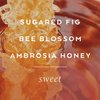 Library of Flowers Honeycomb Handcreme, 2.3 oz. – Sugared Fig, Ambrosia Honey & Royal Bee Blossom – Scented Hand Cream for Women, Moisturizing Hand Lotion for Dry Hands, Shea Butter & Cocoa Butter