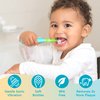 Brusheez Little Toddlers Sonic Toothbrush - Safe & Gentle Toothbrush for Ages 1-3 with Built-in, Light-Up 2-Minute Timer, Extra Brush Head, & Storage Base for First-Time Brushers (Rex The Dinosaur)