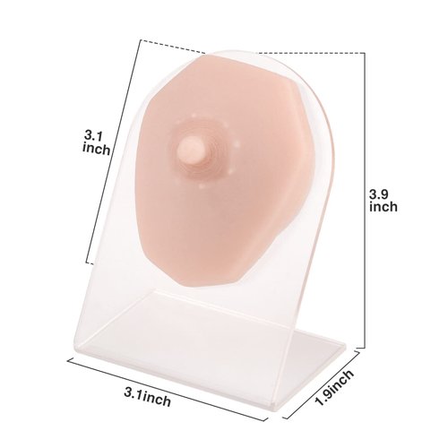SimCoach Soft Silicone Piercing Model with Acrylic Stand, Piercing Practice Body Parts, Flexible Mold for Jewelry Display