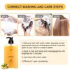 Ginger Plant Extract Anti Hair Loss Shampoo for Hair Regrowth, Thickening and Longer Hair - For Women & Men (400ML)