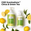 CND Scentsations Liquid Hand Wash, Vegan Moisturizing Deep Cleanser, Formulated with Glycerin & Jojoba Oil, Citrus & Green Tea, 13.2 fl. oz