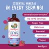 MaryRuth Organics | Liquid Iron Supplement Prenatal & Postnatal for Pregnant & Lactating | Iron Deficiency | Immune Support | Sugar/Gluten Free | Vegan | Non-GMO | 15.22 Fl Oz
