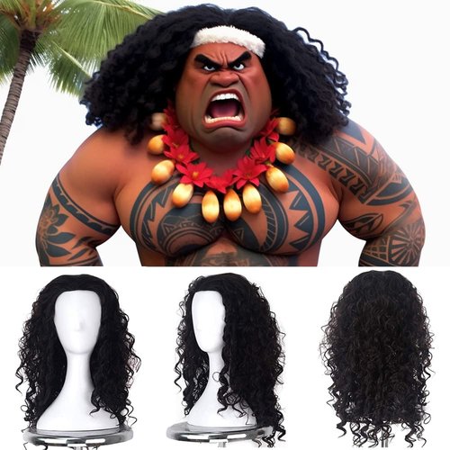 Artjosy Anime Character Men Cosplay Wig The Fluffy Men Long Hair Wigs Long Black Curly Synthetic Wigs Heat Resistant Full Machine Made for the Halloween (Adult)