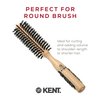 Kent PF04 Small Round Curling Brush with Hard Natural Boar Bristle- Hair Drying Brush, Round Hair Brush, and Blowout Brush - Small Round Brush for Dry Hair - For Shoulder Length or Shorter Hair