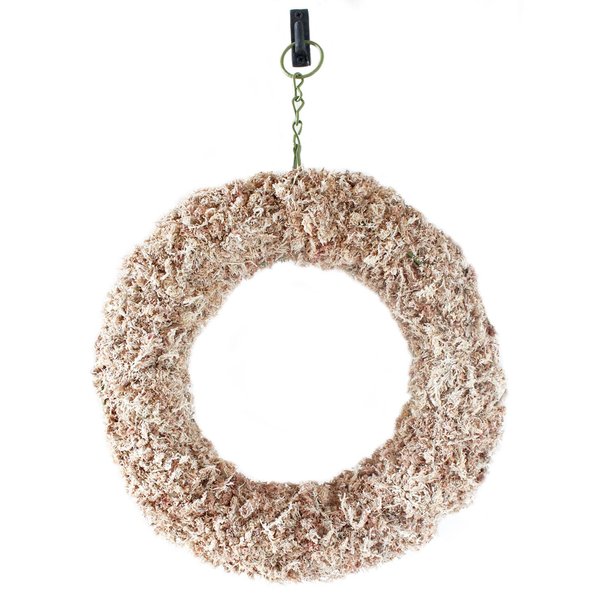 SuperMoss (22342) Sphagnum Moss Living Wreath 13" - Round, Natural