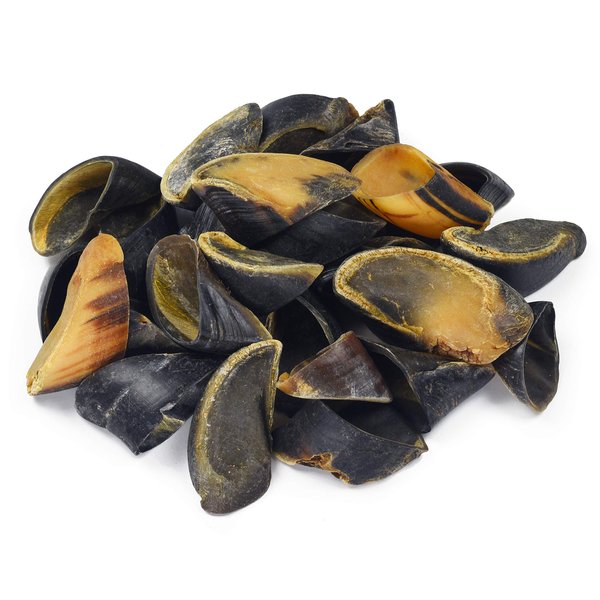 hotspot pets Full-Size Cow Hooves for Dogs | All-Natural Long Lasting Dog Chews | Made from Grass Fed Cattle | Tasty Treat for Oral Hygiene | Fantastic Alternative for Rawhide and Bully Sticks
