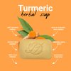 HERBOGANIC Turmeric Herbal Soap | Herbal Bar Soap with Benefits of Turmeric | Nourishes Skin | For Healthy, Radiant Skin | All Natural Bar Soap for Men and Women | 5 oz Bar (Pack of 1)…