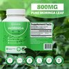 Rosabella Moringa Capsules - Pure Moringa Powder, Energy, Skin, Immune & Gut Health Superfood, Rich in Antioxidants, Essential Vitamins & Amino Acids, Natural Green Superfood Supplement - 60 Count