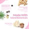 Cruelty-Free and Paraben-Free Lip Treatment to Soothe Dry Lips by Hanalei – Made with Kukui Oil, Shea Butter, Grapeseed Oil – Made in USA – Rose Tint Travel-Size 3 Pack (5ml/5g/0.17oz x 3 tubes)