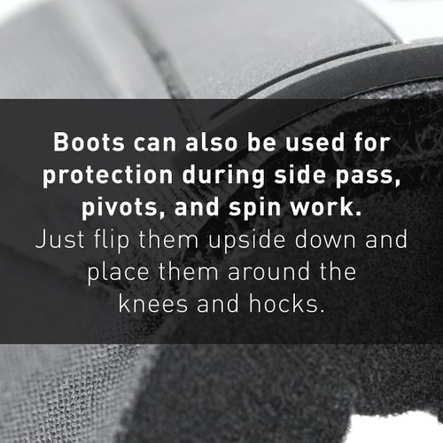 HORZE Pro Overreach Bell Boots for Horses | Neoprene Pair - Black - L