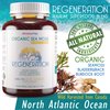 Irish Sea Moss Organic Bladderwrack Burdock Root 120 Capsules - Wildcrafted Seamoss Raw Organic Herb Cell Health Irish Moss Powder Gel Pills - Alkaline Supplements Vegan Super Food - 2 Month Supply