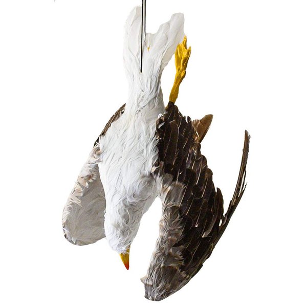 Dead Seagull Bird Deterrent Scares Away Gulls - Bird Decoy for Boats, Marinas & Docks