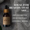 J&L Naturals | Beard Oil for Men | Moisturize, Beard Care | 100% Natural Ingredients With Argan Oil, Jojoba Oil, Coconut Oil | Cruelty Free, Vegan, Paraben Free (Variety, 1 Fl Oz (Pack of 5))