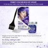 Punky Colour Box Kit Violet - For Bleached, Blonde or Highlighted Hair, Non-Damaging Hair Dye, Vegan, PPD and Paraben Free, Conditions Hair, Vibrant Hair Color, lasts up to 35 washes