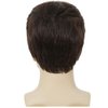 Salaibs Mens Brown Short Wigs Natural Fluffy Male Hair Wig Synthetic Heat Resistant Realistic Full Wig for Daily Use