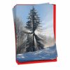 The Best Card Company - 12 Beautiful Christmas Cards with Envelopes (1 Design, 12 Cards) - Bulk Boxed Set of Holiday Greetings - Christmas Sunrise Tree B6655CXSG