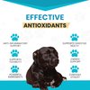 Wanderfound Pets 10-in-1 Dog Multivitamin, Chewable Dog Vitamins with Glucosamine, D3, and MSM, Dog Health Supplies for Immune System and Joint Health, Liver Flavor, 60 Tablets