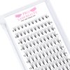 Premade Fans Eyelash Extensions 10D-C-0.07-14 Premade Volume Lash Extensions Pointed Base Fans 0.07 Premade Volume Fans C D Curl(10D-C-0.07,14mm)