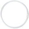 ProLume BC9276 109084 - FC40T5/835 Circular T5 Fluorescent Tube Light Bulb
