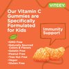 Kids Vitamin C Gummies with Echinacea - Immune Support for Kids, Toddlers, & Teens - Vegan, Gelatin Free, Gluten Free, GMO Free - Tasty Chewable Orange Flavored Kids Immunity Gummy