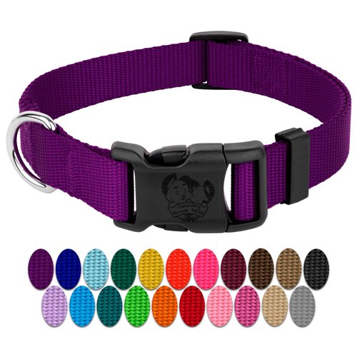 Country Brook Petz - 30+ Vibrant Colors - American Made Deluxe Nylon Dog Collar with Buckle (Medium, 3/4 Inch Wide, Purple)