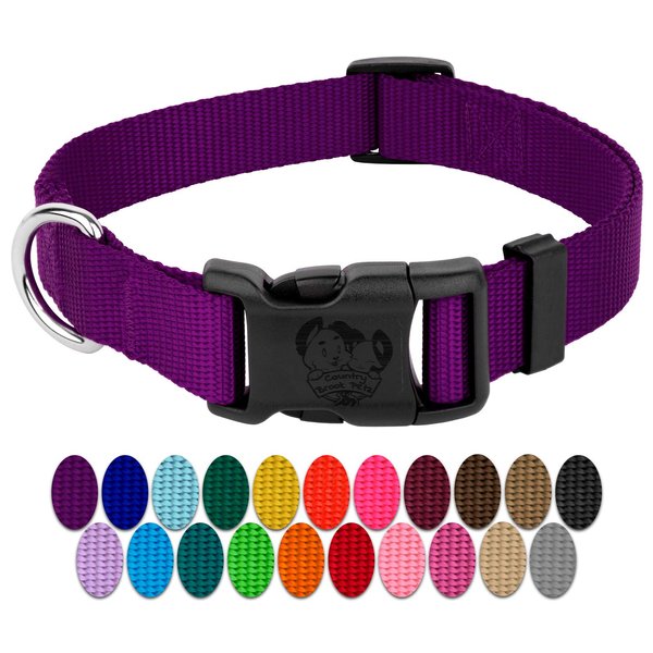 Country Brook Petz - 30+ Vibrant Colors - American Made Deluxe Nylon Dog Collar with Buckle (Medium, 3/4 Inch Wide, Purple)