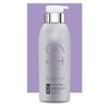 Biotop Professional 19 Pro Silver Shampoo - Purple Shampoo to Neutralize Yellow and Brassy Tones - Made with Sunflower Oil and Vitamin E - For Blonde or Bleached Hair - 16.9 oz