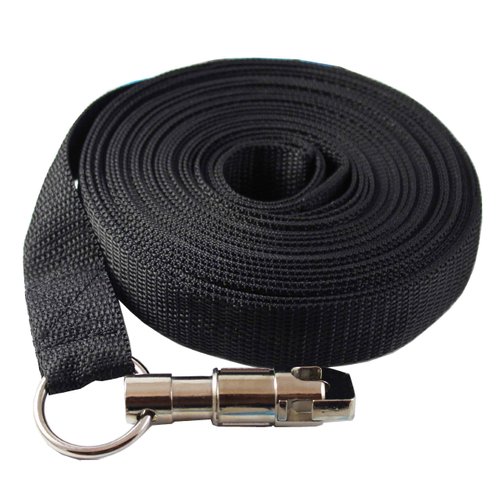 Dog Leash 1.2" Extra Wide Nylon 15 Feet Extra Long for Training Secure Locking Snap