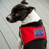 "Hearing Dog - Full Access" Sew On Patch - Includes Five Service Dog Law Handout Cards – for Service Dog Vest or Harness