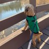 Gooby Fashion Vest Dog Jacket - Green, Small - Warm Zip Up Dog Bomber Vest with Dual D Ring Leash - Winter Water Resistant Small Dog Sweater - Dog Clothes for Small Dogs Boy or Medium Dogs