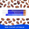 Lip Balm - Raw Cacao - Therapeutic Lip Care 24 hour protection - Organic, Fair Trade, Raw - Unprocessed Peruvian cacao #1 ingredient