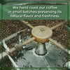 The Bean Organic Coffee Company Christmas Roast, Dark Roast, Ground Coffee, 16-Ounce Bag