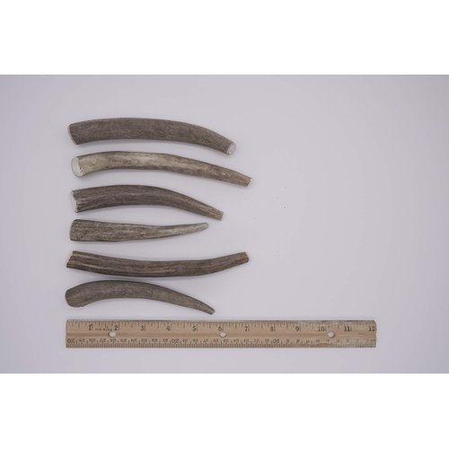 Mountain Dog Chews - Small Whole Deer Antler 6 Pack - Deer Antler Dog Chew - Grade A Premium - Organic - Made in USA - No Mess